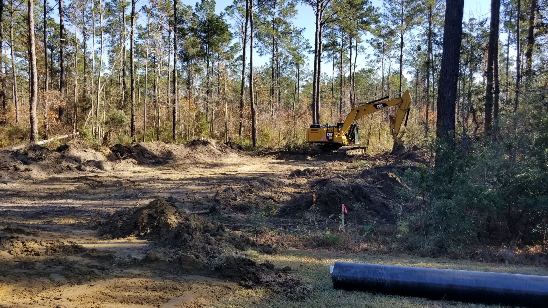 Costco land clearing (copy)